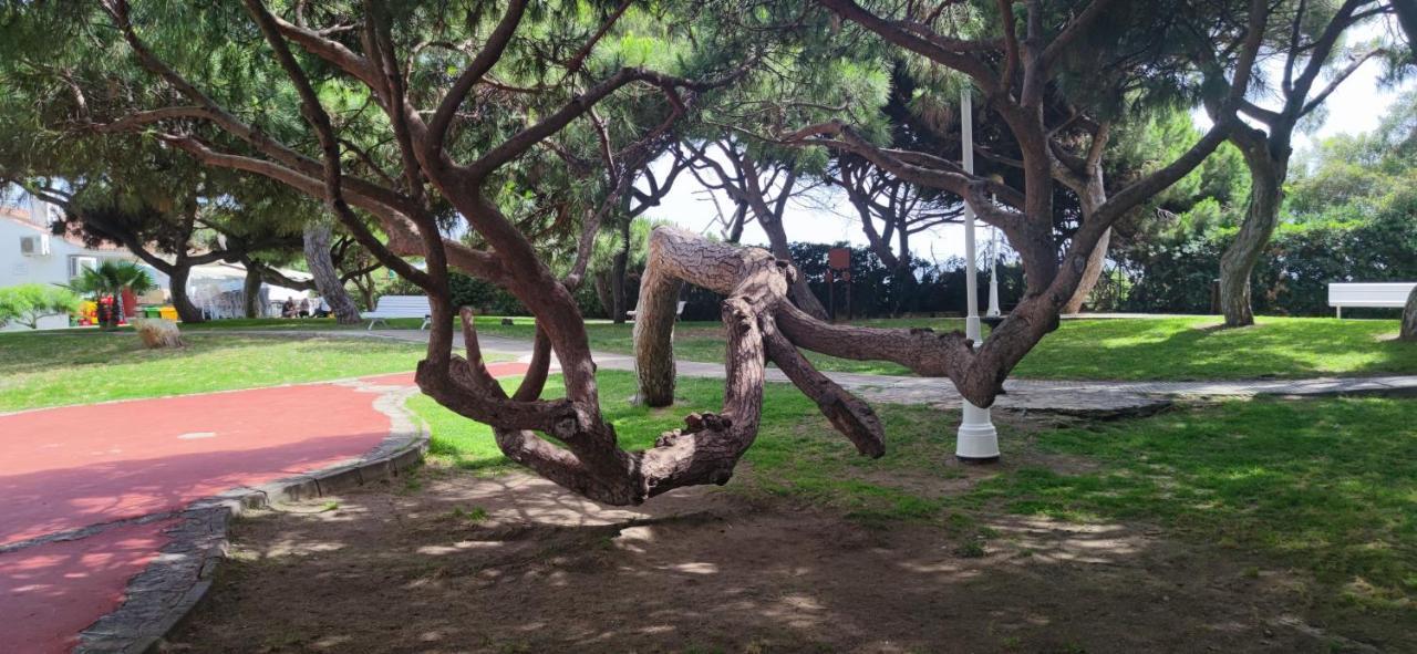 Rota ATLÁNTICO apartment Kültér fotó